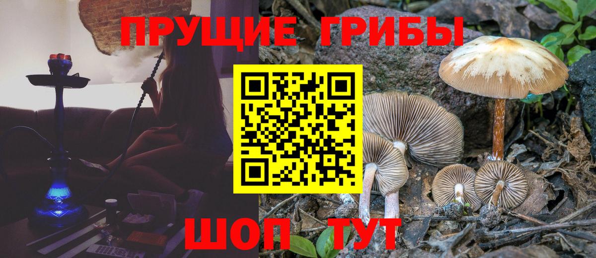 Ростов-на-Дону  Псилоцибиновые грибы Magic Shrooms  Вход с VPN 